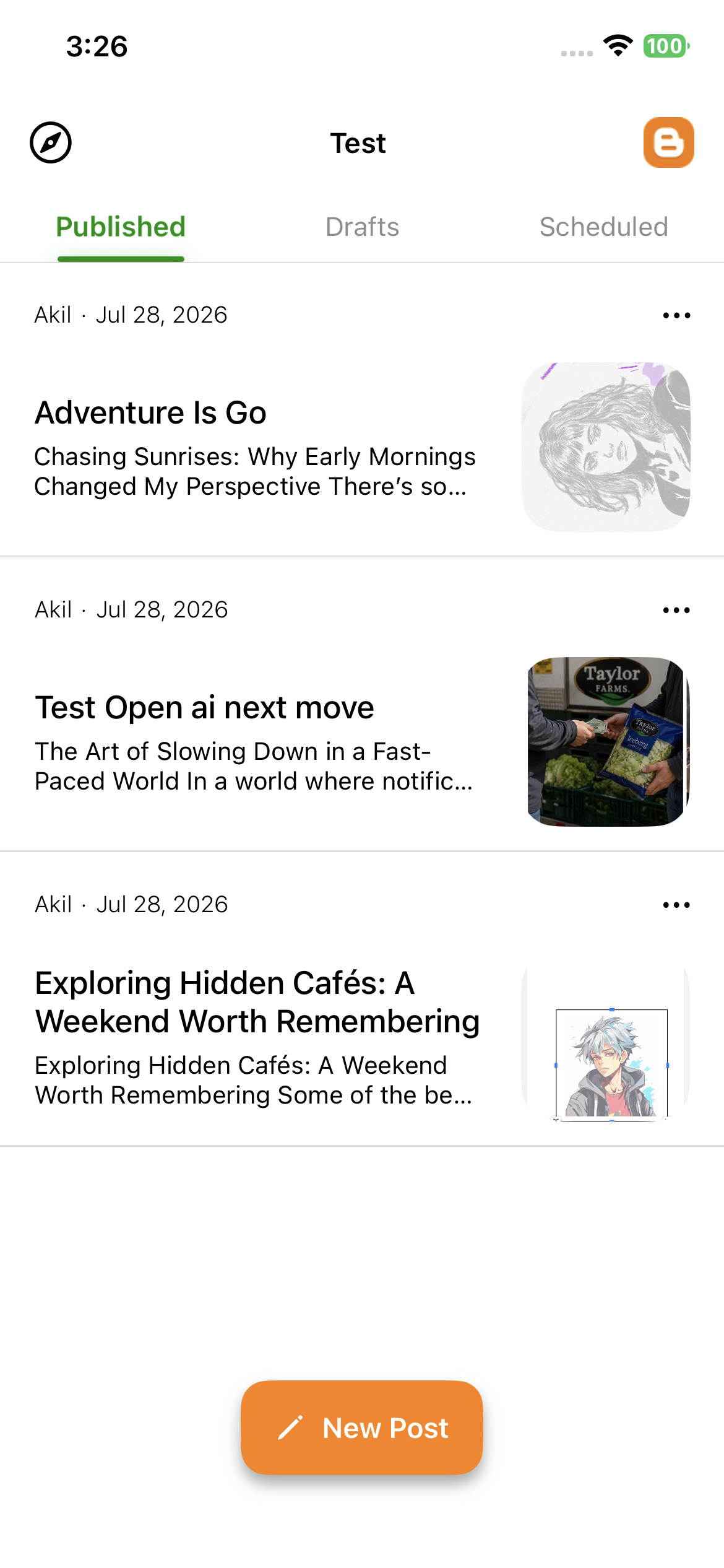 Blogger Published Posts